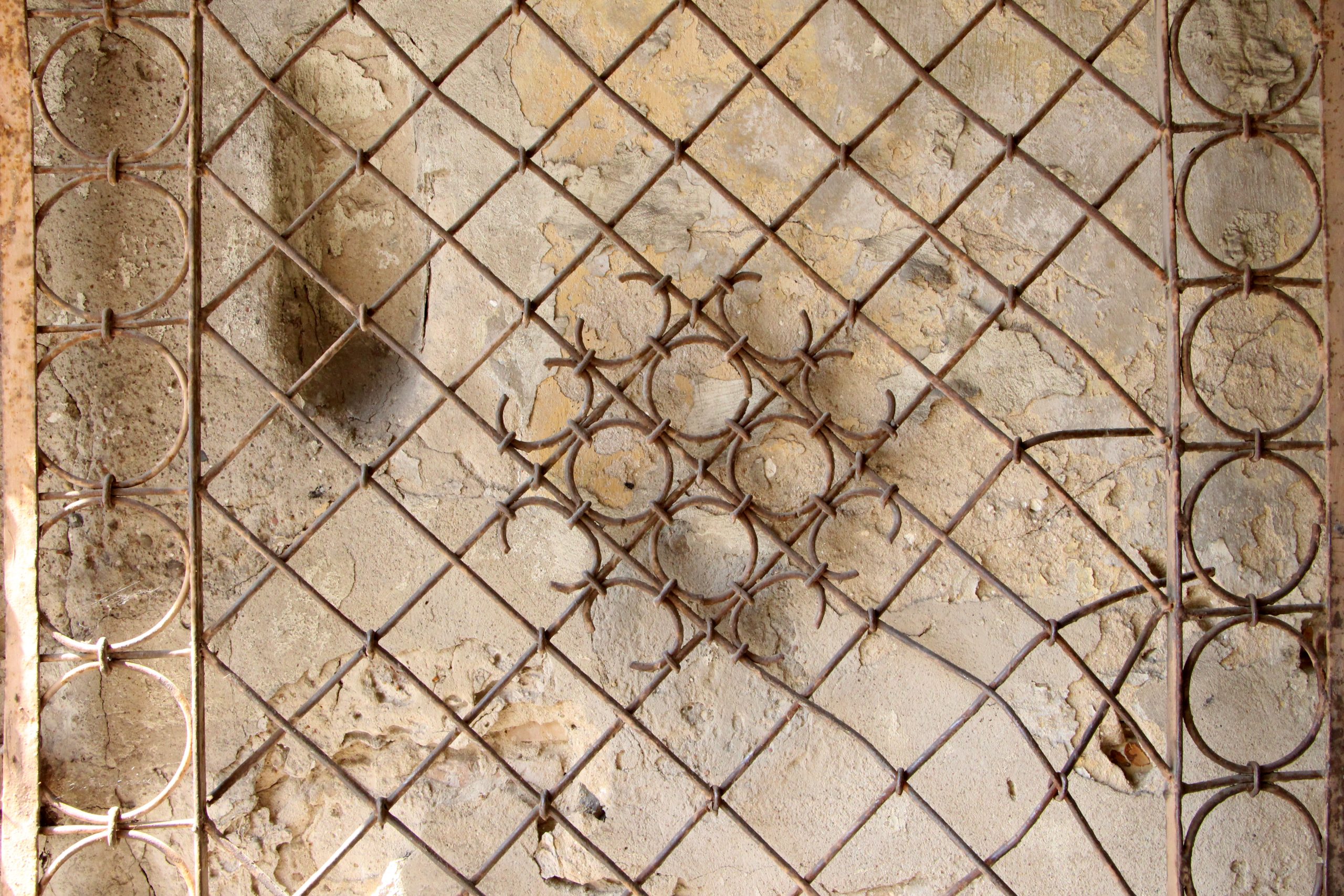 R.Šileika romano ištraukos