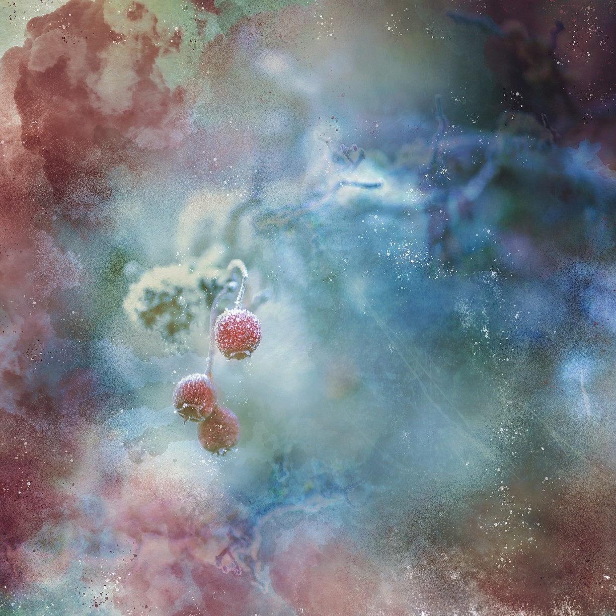 Kristina Zvinakevičiūtė Uogos