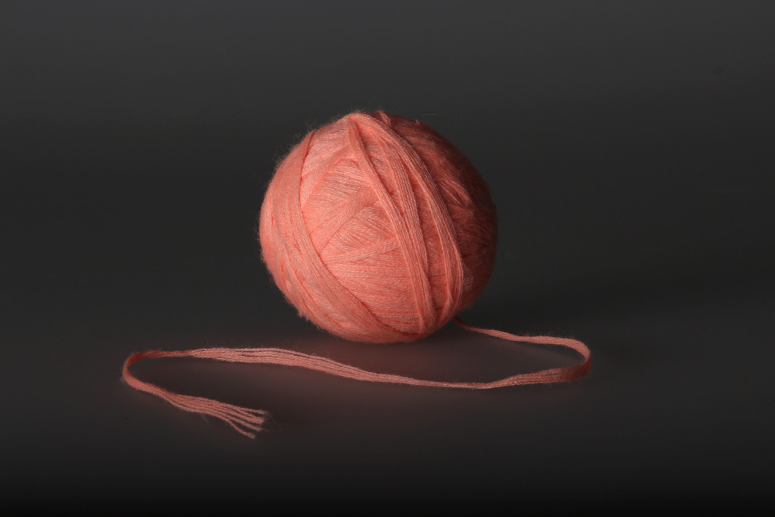 Ričardo Šileikos fotografija